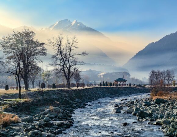 4 NIGHTS / 5 DAYS  DREAMY KASHMIR