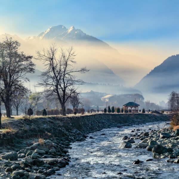 4 NIGHTS / 5 DAYS  DREAMY KASHMIR