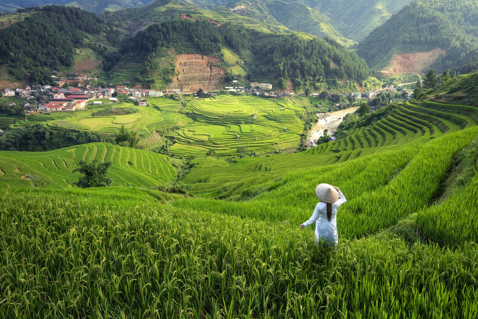 4NIGHTS/ 5DAYS HO CHI MINH VIETNAM