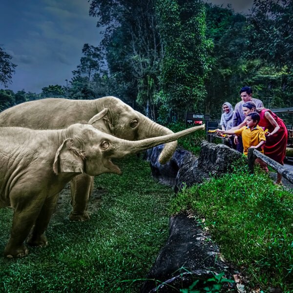 Incredible Singapore Holiday with Cruise