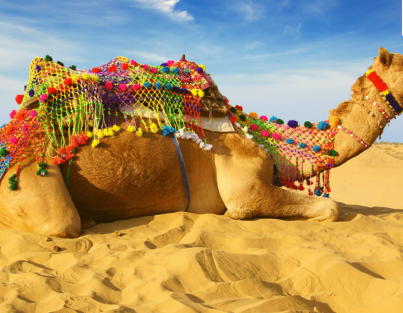 Top Desert Festivals in Rajasthan You Must Experience Once